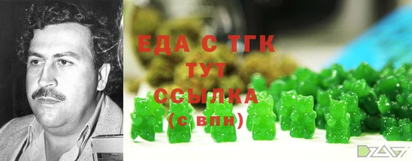 ECSTASY Богородицк